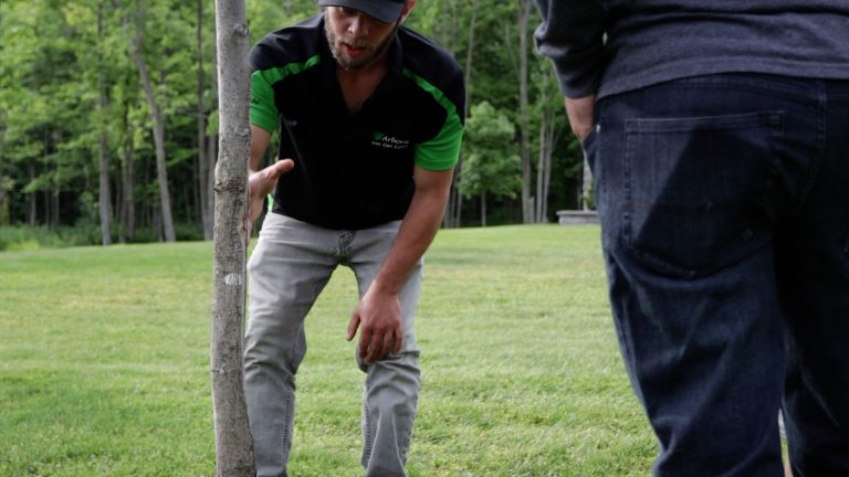 Gallery Consultation (3)