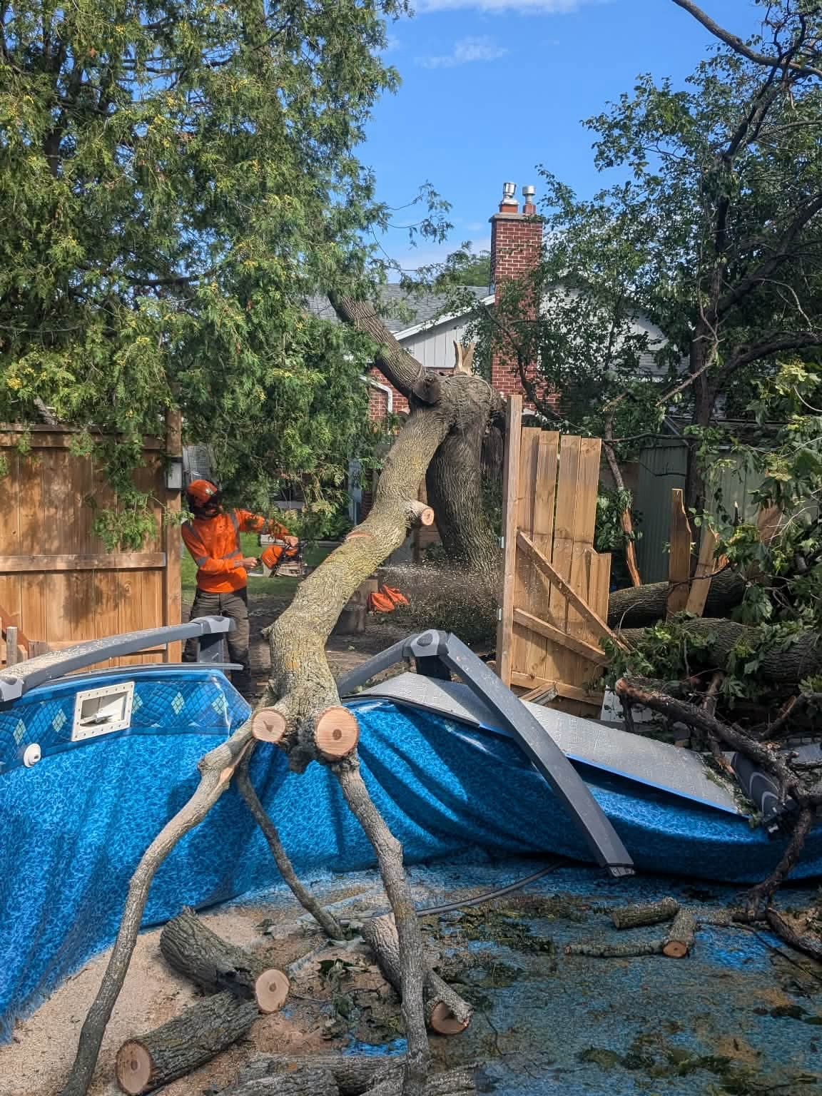 storm removal photo 1 storm removal photo 1
