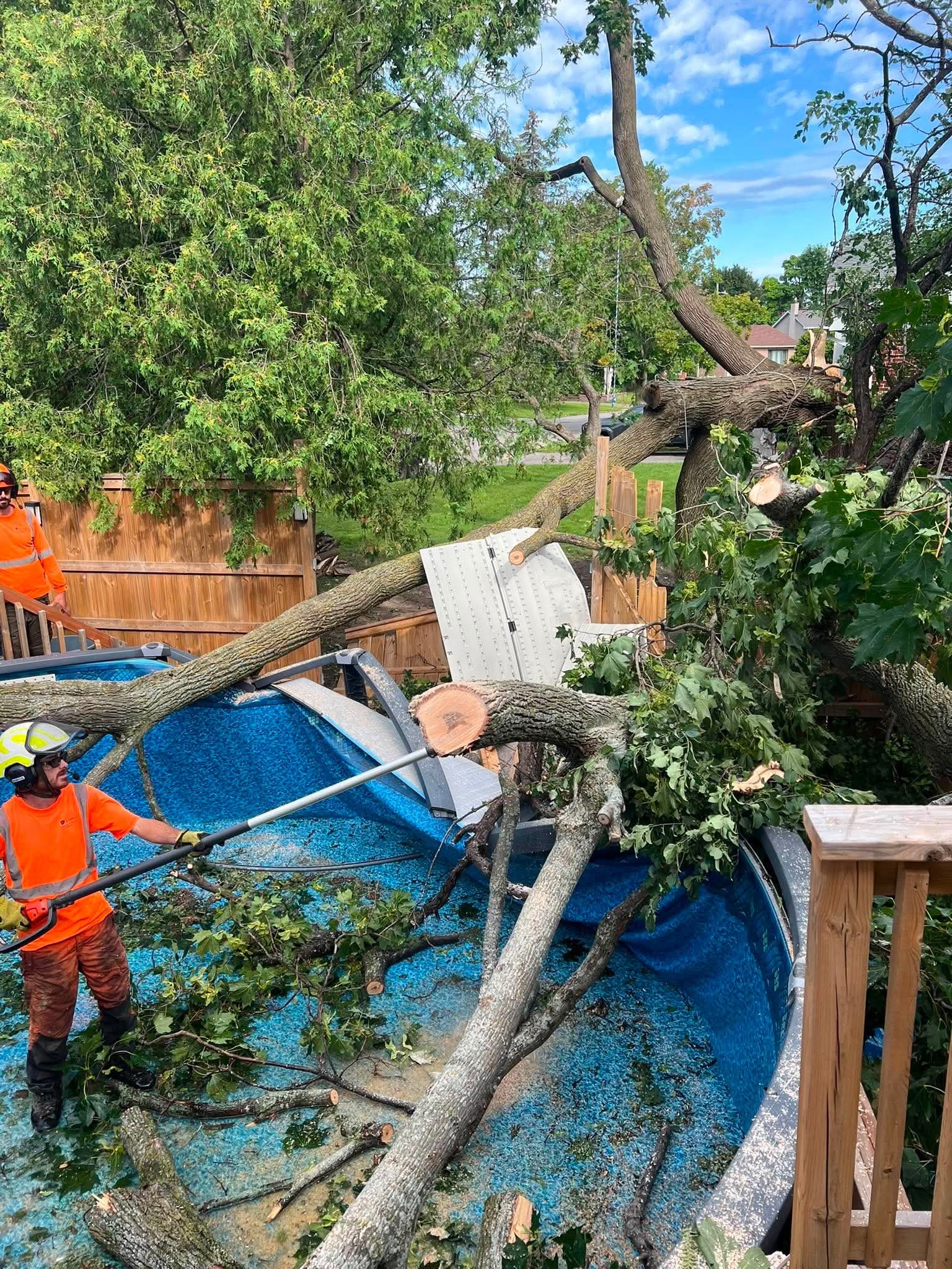 storm removal photo 2 storm removal photo 2